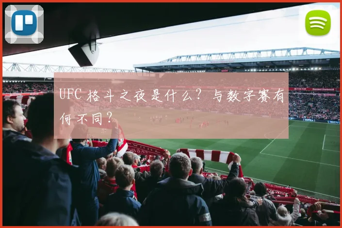 UFC 格斗之夜是什么？与数字赛有何不同？